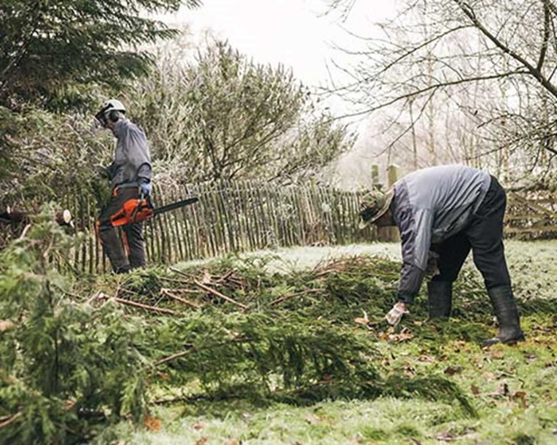 hombres podando jardín